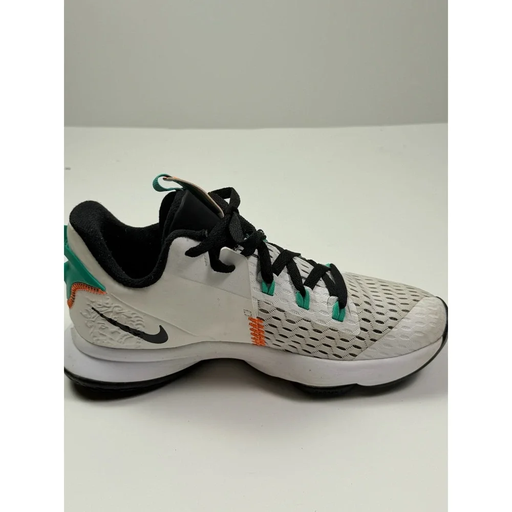 Nike lebron witness